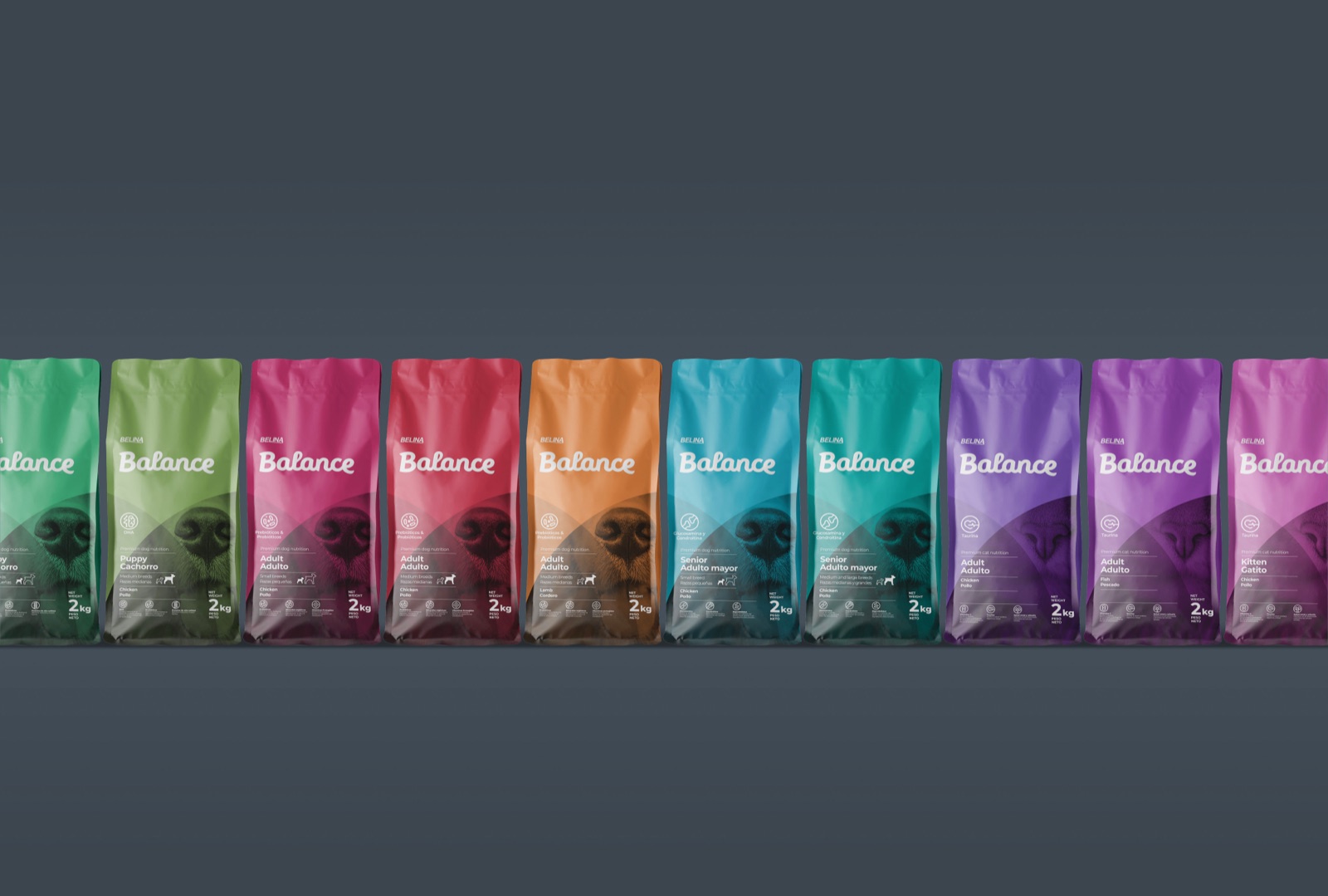 Proyecto Balance, branding por Kerigma